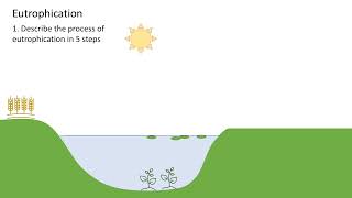 Eutrophication A level biology [upl. by Hanae]