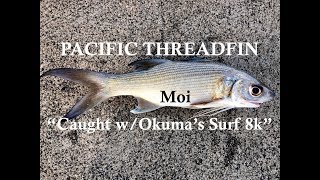 Field Testing Okumas NEW Surf 8K Reel [upl. by Panther]