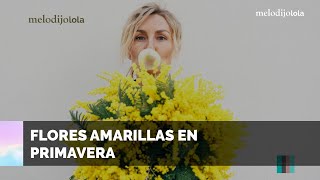 ¿Qué significan las flores amarillas y por qué se regalan el 21 de septiembre [upl. by Nosyerg543]