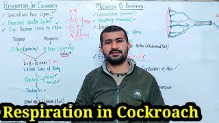 Respiratory System Of Cockroach Class 11  Irtisams Biology  Respiratory System of Cockroach [upl. by Hobie]