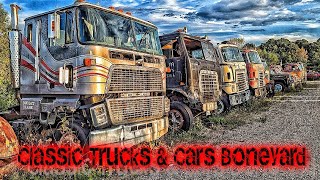 Tackaberry Classic Trucks Boneyard Exploration [upl. by Ytitsahc]