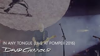 David Gilmour  In Any Tongue Live At Pompeii [upl. by Erreip816]