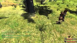 Lets Play Mount and Blade Warband  Spuntys Tale 14 The Legend of Nomar [upl. by Meluhs]