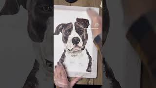 Sealing a watercolor pet portrait with Dorland’s Wax Medium [upl. by Cleo697]