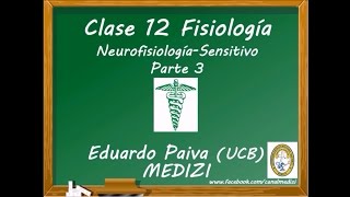 Clase 12 Fisiología  Neurofisiología Sensitivo 3 IGdoctorpaiva [upl. by Inait]