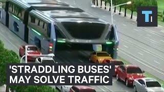 Straddling buses may solve traffic [upl. by Oirramaj]