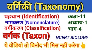 अध्याय 1 जीव जगत भाग 4 वर्गिकी एवं वर्गिकी संवर्ग Taxonomy amp Taxonomical Category [upl. by Enidaj]