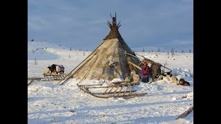 NENET PEOPLE [upl. by Lorelie783]