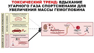 ТОКСИЧЕСКИЙ ТРЕНД ВДЫХАНИЕ УГАРНОГО ГАЗА СПОРТСМЕНАМИ ДЛЯ УВЕЛИЧЕНИЯ МАССЫ ГЕМОГЛОБИНА [upl. by Poulter]