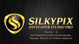 Silkypix developer studio ЧАСТЬ  4 Работа с пипетками Авто установки [upl. by Shepley]