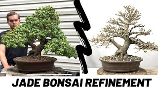 Jade Bonsai Portulacaria Afra  Refinement Work The Bonsai Supply [upl. by Frodin]