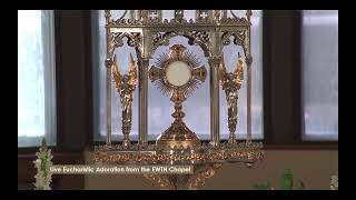 Eucharistic Adoration on EWTN [upl. by Mirilla]