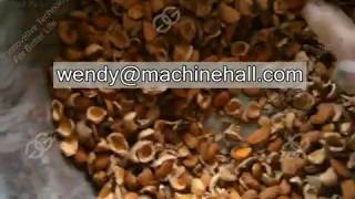 apricot stone crusher Almond Sheller Machinealmond cracking machine [upl. by Aluk948]