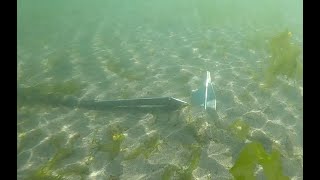 Dinghy Anchor Testing Part 1 Mantus Bruce Danforth Grapnel Mushroom Anchor Test Video 77 [upl. by Sair]