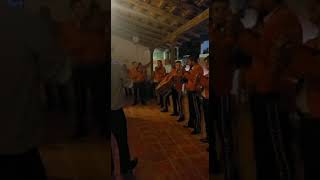 Mariachi Juvenil Guachinango  Arriba Jalisco [upl. by Enirhtak]