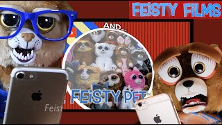 Feisty Pets React to Themselves It’s a Feisty Frenzy [upl. by Glory227]