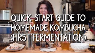 Quick Start Guide to Homemade Kombucha First Fermentation [upl. by Pomfret414]