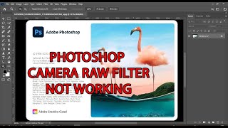 PHOTOSHOP CAMERA RAW FILTER NOT WORKING  SOLVED [upl. by Sidky120]