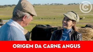 Qual a Origem da Carne Angus  À Roda da Alimentação [upl. by Evans]