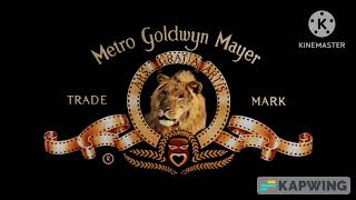 MetroGoldwynMayer 1995 [upl. by Oiracam]