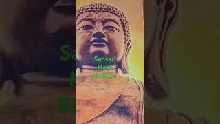 sansari maya bichitra gautam buddha viral reel [upl. by Solracnauj912]