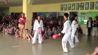 Taekwondo Demonstration in Bangkok Thailand [upl. by Wilkey514]