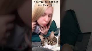 part 8 lit When I kiss my cat cat cats cutecat catlover catsoftiktok fyp foryou foryoupage [upl. by Idolem]