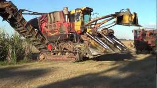 Sugar Cane Harvester in Australia [upl. by Ainomar]