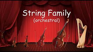 The String Family  Listen to the instruments of the strings family  Orchestra for Kids [upl. by Khalin785]