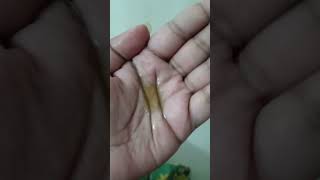 Jegathees Meena hair oil reviewayurvedic home made hair oil  hair growth [upl. by Kresic]