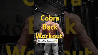 How To Do the Cobra ExerciseIs cobra good for your back What does Cobra exercise dofitness shorts [upl. by Celik]