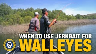 When To Use a Jerkbait for Walleyes [upl. by Milman]