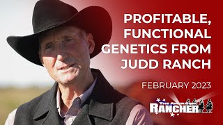 Profitable Functional Genetics from Judd Ranch  The American Rancher [upl. by Enitsuga]