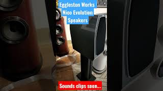 EgglestonWorks Nico Evolution Speakers [upl. by Quent991]