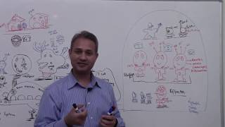 Role of Antigen  Presenting Cells in The Immune System [upl. by Atul]