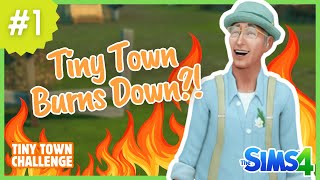 Frank Stem Burned Down Tiny Town 🔥 Starting Deligracys TINY TOWN Challenge 💚 Ep 1 [upl. by Fey]