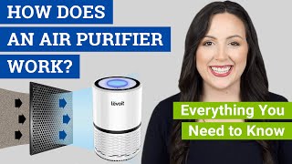 How Does an Air Purifier Work Do Air Cleaners Really Work to Remove Dust Mold and Allergens [upl. by Darrow]