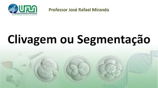 Clivagem ou Segmentação [upl. by Ael]