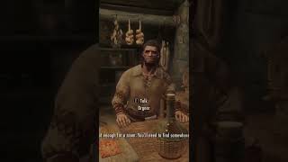 Chatting with Ai powered Npcs skyrim [upl. by Ain338]