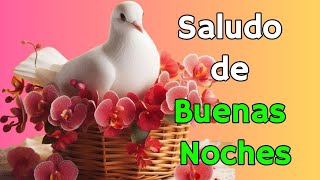 🙏🌹REFLEXIÓN de Buenas Noches🌹ABRELO Saludos de buenas noches Feliz noche frases Para Ti [upl. by Seagrave]