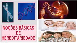 NOÇÕES SOBRE HEREDITARIEDADE Prof Bernardo Alcantarilha Neto [upl. by Januarius587]