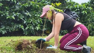 Reforestación Sabanilla de Alajuela [upl. by Adlih]