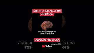 INFLAMACIÓN CEREBRAL QUÉ ES Y QUE PROVOCA CUIDADO CON LA SALUD DE TU CEREBROsalud organismo [upl. by Ressay]