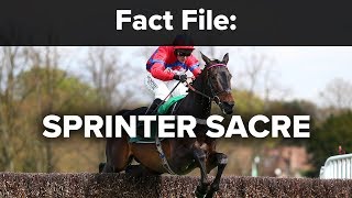 Fact File Sprinter Sacre [upl. by Len937]