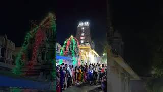 Vadapalani Sivan Kovil Vengeswaran temple Anna abhishegam 14112024 [upl. by Lombardo]