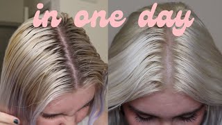 how to fix yellow roots on bleached hair [upl. by Halilad149]