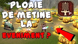 PLOAIE DE METINE LA EVENT💣  PET TIP6 💥 metin2 [upl. by Eiramrefinnej]