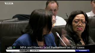 NPA Hawks brief SCOPA [upl. by Avis]