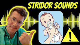 Doctor explains Stridor with real examples of sounds plus causes treatment and warning signs [upl. by Sousa]