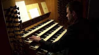 Jan Esra Kuhl Weltende Else LaskerSchüler – Improvisation  DOMORGEL ESSEN [upl. by Rilda668]